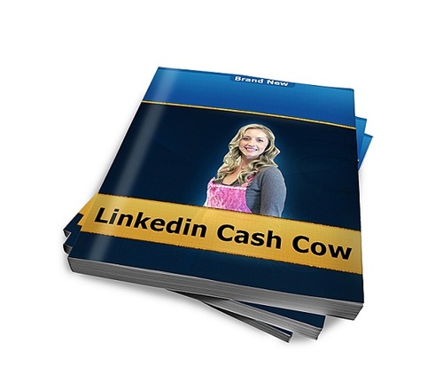 Product picture Linkedin Cash Cow